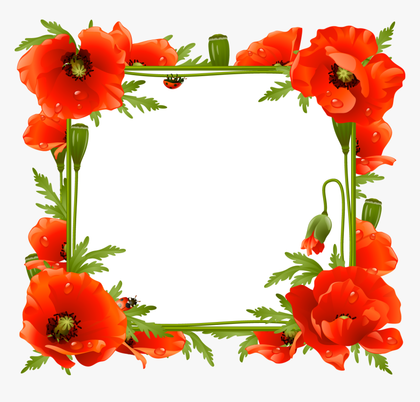 Poppies Frame Clipart , Png Download - Poppy Frame Png, Transparent Png