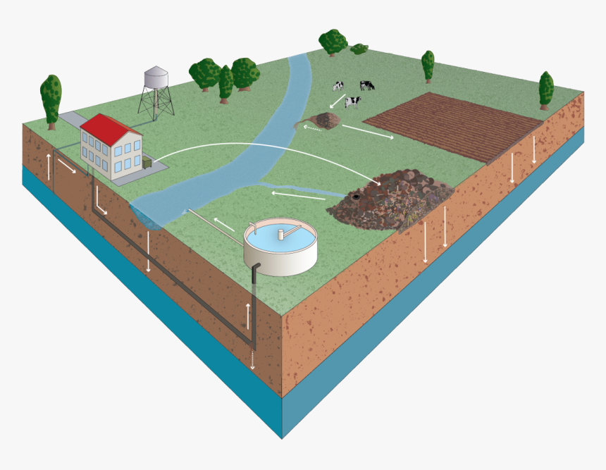 Circulation Of Drugs In Nature - Grass, HD Png Download