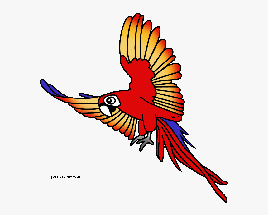 Toucanet Clipart Spring - Rainforest Animal Clip Art, HD Png Download