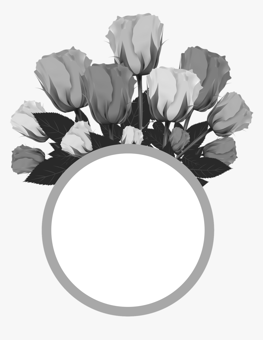 Rosas Png, Transparent Png