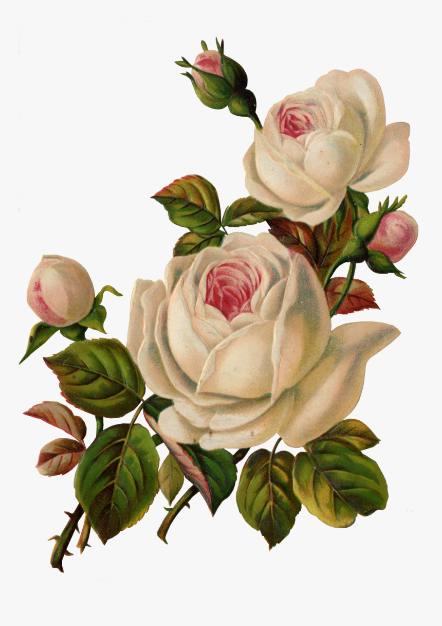 Png Vintage Flower Art, Transparent Png