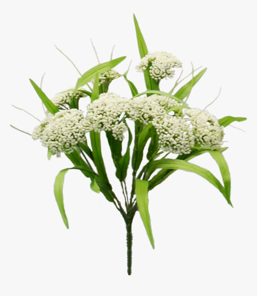 18 - Bouquet, HD Png Download