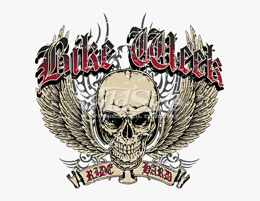 Bike Week - Winged Skull - Ride Hard - Emblem - Emblem, HD Png Download