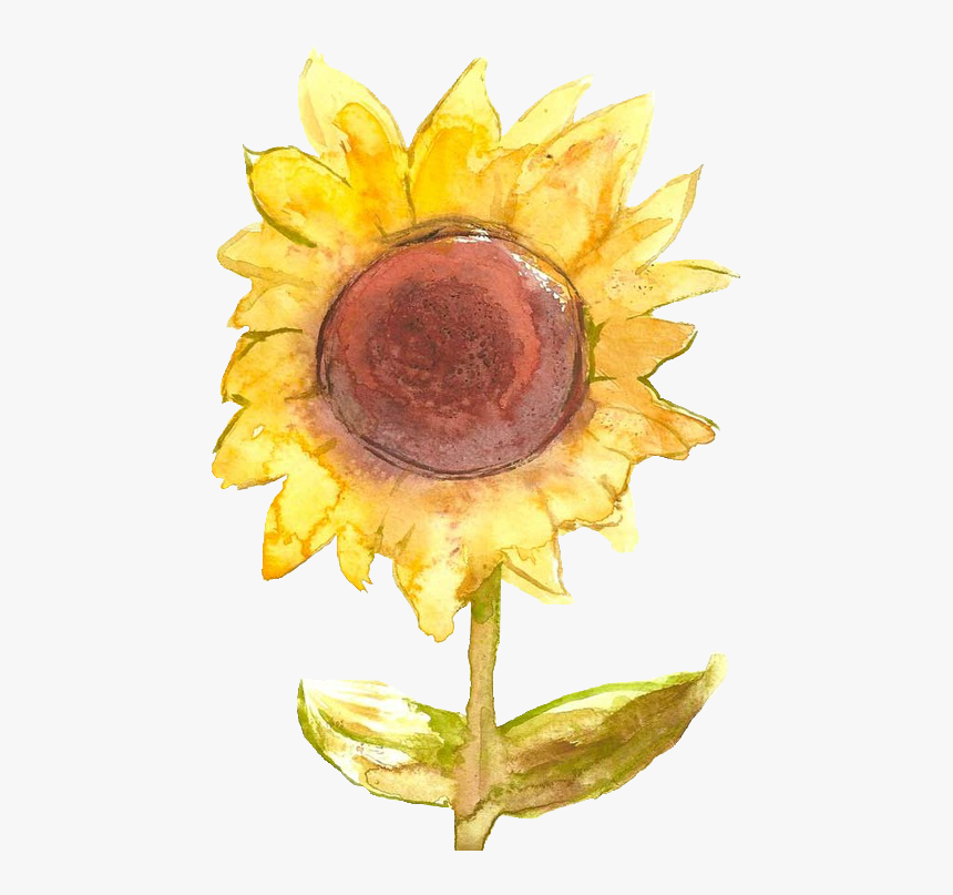 Transparent Watercolor Pngs - Transparent Background Sunflower And Moon Emoji, Png Download