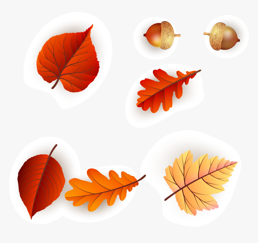 Continental Colorful Fresh Maple Leaf Pattern Vector - Autumn, HD Png Download