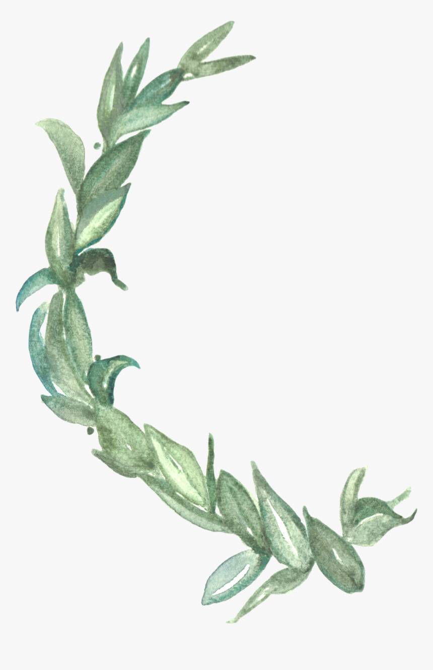 Laurel Wreath Watercolor, HD Png Download