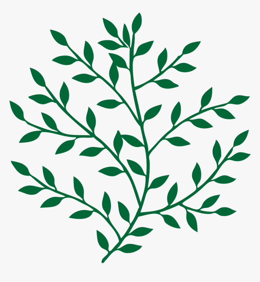 Leaf Branch Tree Bay Laurel Art - Leaves On A Branch, HD Png Download