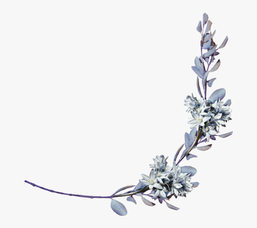 Hyacinths With A Laurel Branch Png By Amalus-d4jhzppright - Shayari Hinglish, Transparent Png