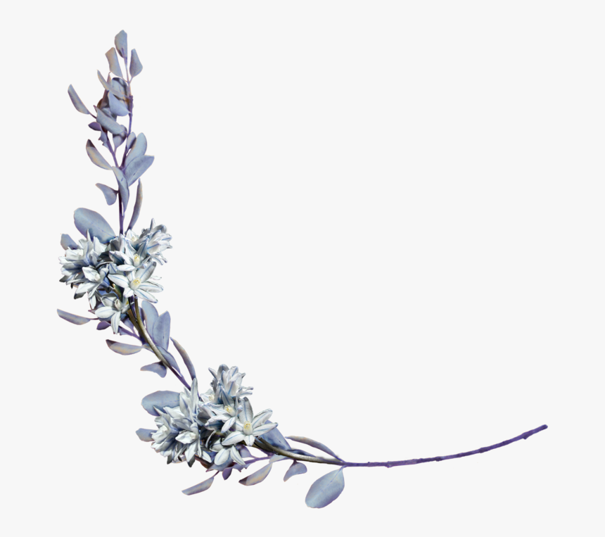 Clip Art Pin By Laura Mccluney - Ramo De Flor Png, Transparent Png