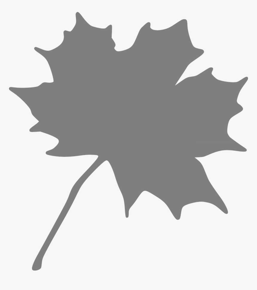 Maple Leaf Grey Free Picture - Orange Maple Leaf Clipart, HD Png Download