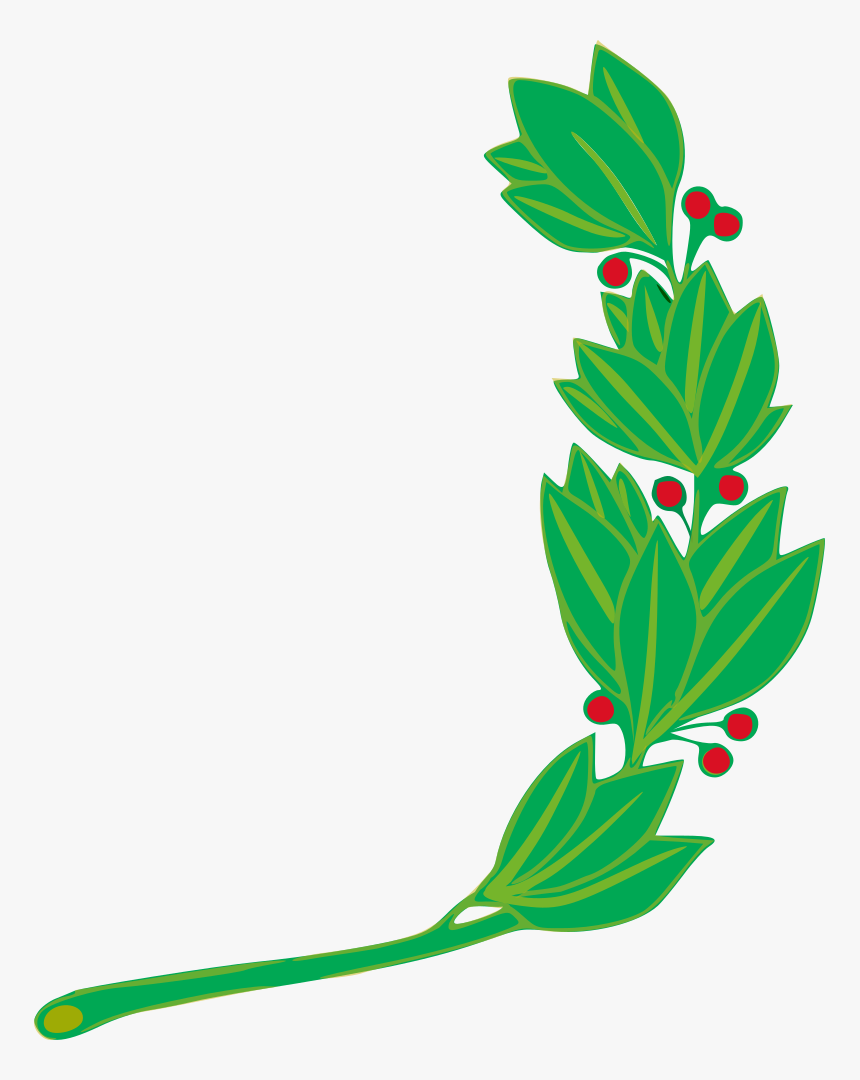 Branch - Peru Flag Symbol, HD Png Download