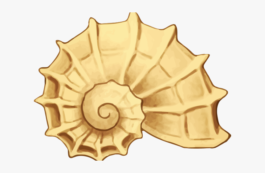 Yellow For Free Download - Clipart Seashell, HD Png Download