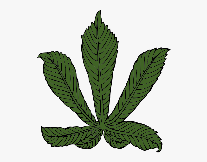 Free Vector Horse Chestnut Leaf Clip Art - Horse Chestnut Leaf, HD Png Download