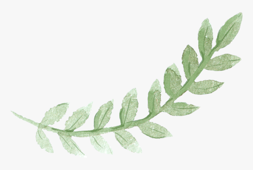 Sydney Leaves Watercolor Green Pancake Brunch Painting - Green Leaves Watercolor Png, Transparent Png