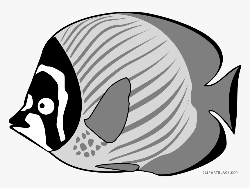 Bass Fish Png -tropical Black And - Fish Sea Creatures Clipart, Transparent Png