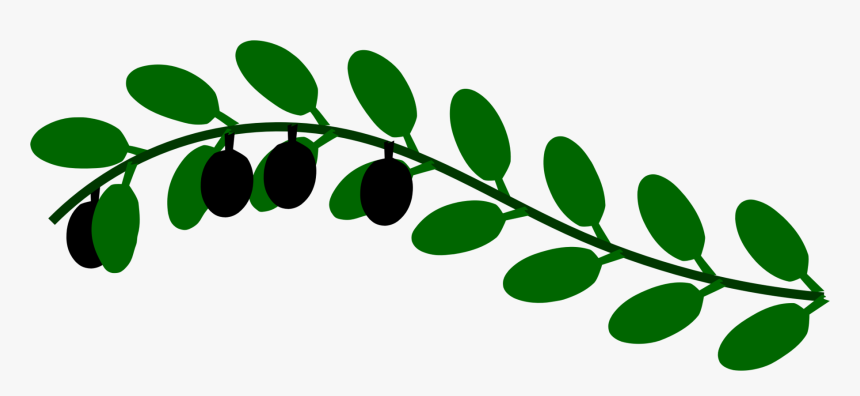 Plant,flora,leaf - Green Leaves Branch Clip Art, HD Png Download