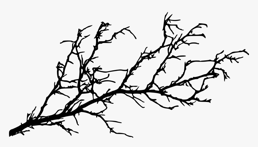 Silhouette Tree Branch At Getdrawings - Tree Branch Silhouette, HD Png Download