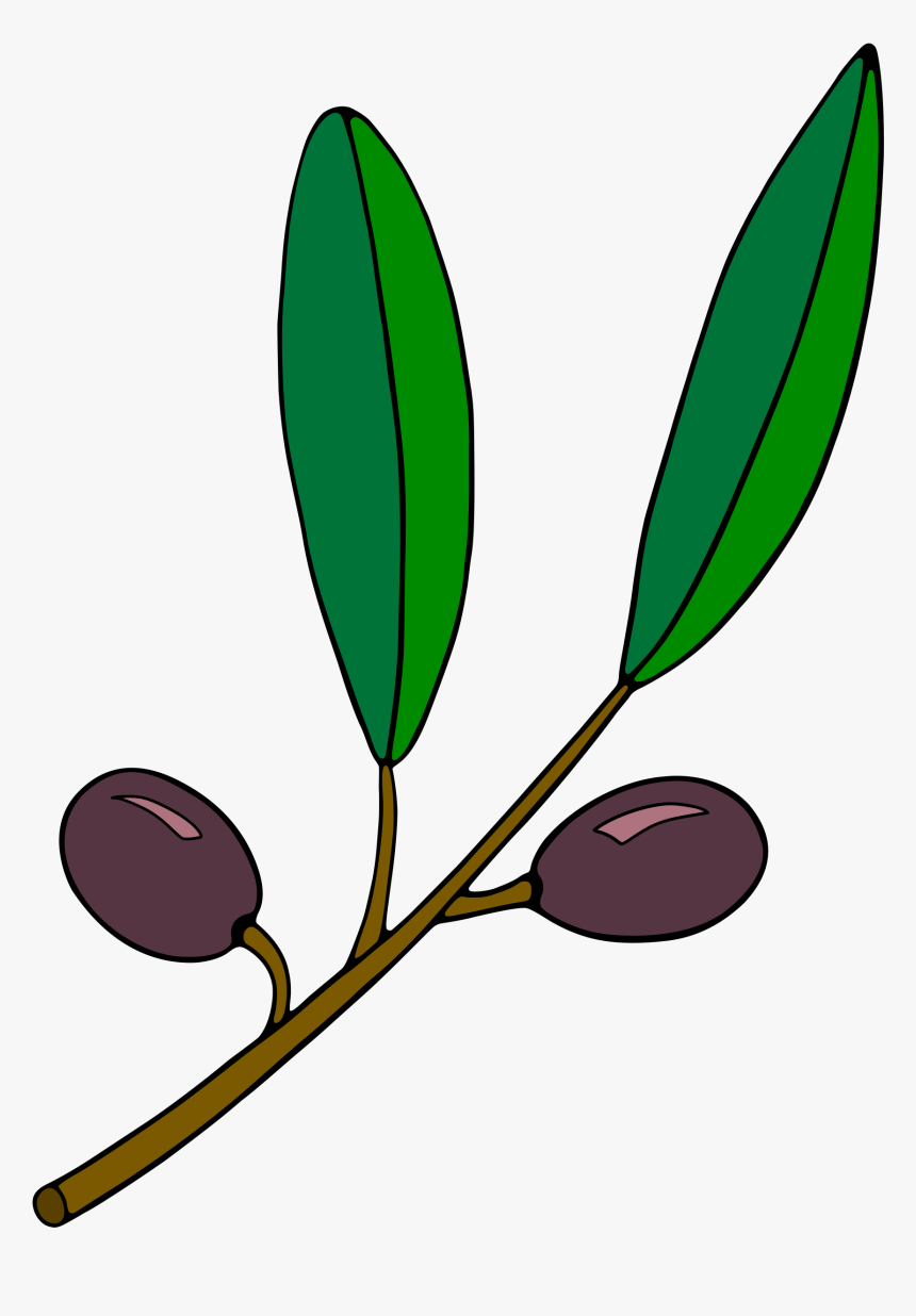 Olive Branch Clipart - Olive Branch Clip Part, HD Png Download