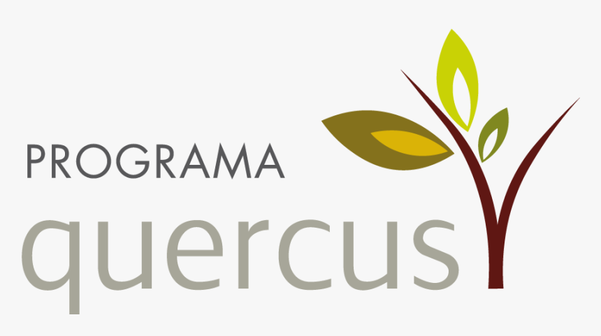 Crystorama, HD Png Download