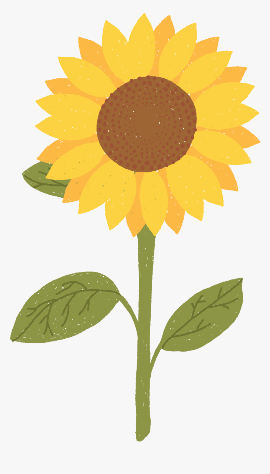 Does A Fish Eat, HD Png Download