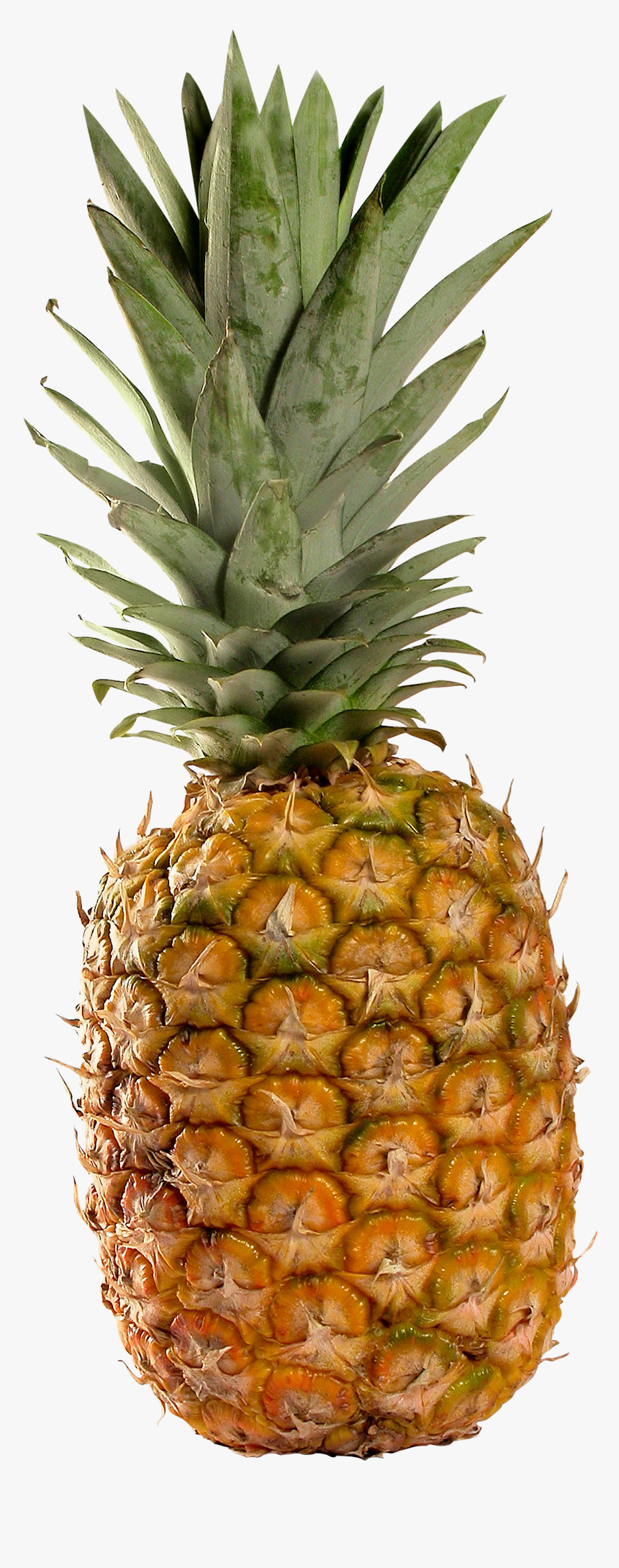 Pineapple, - Pineapple Fruit Transparent Background, HD Png Download