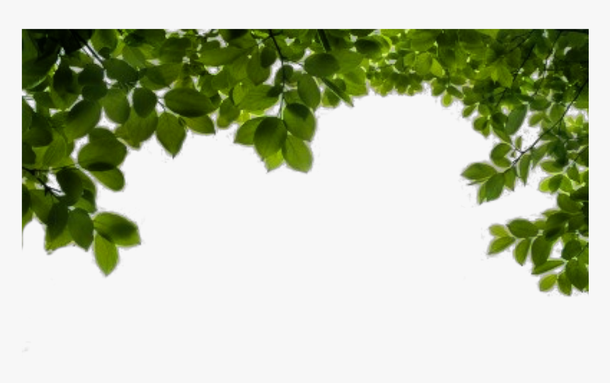 Png Hd Background, Transparent Png