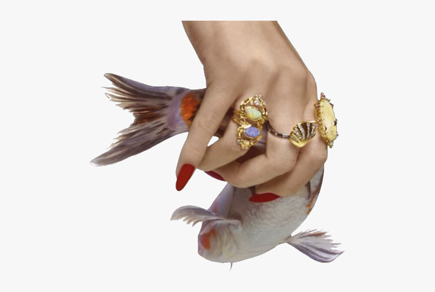#hand Png I Think I Like The Aesthetic 🖇✨ ♡tags♡ - Aesthetic Feathers Png, Transparent Png