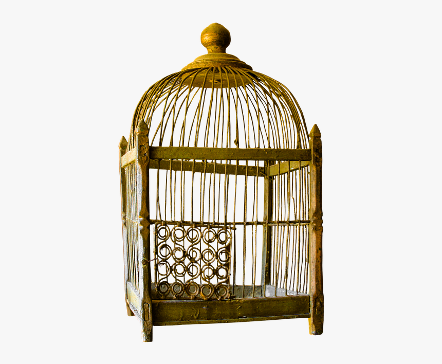 This Alt Value Should Not Be Empty If You Assign Primary, HD Png Download