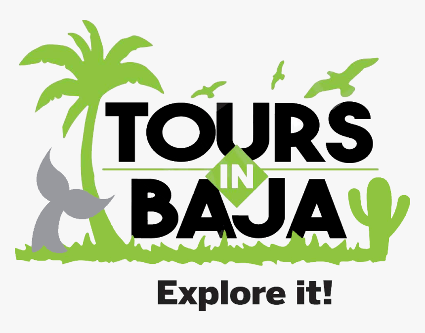 Tours In Baja - Baja Tours, HD Png Download