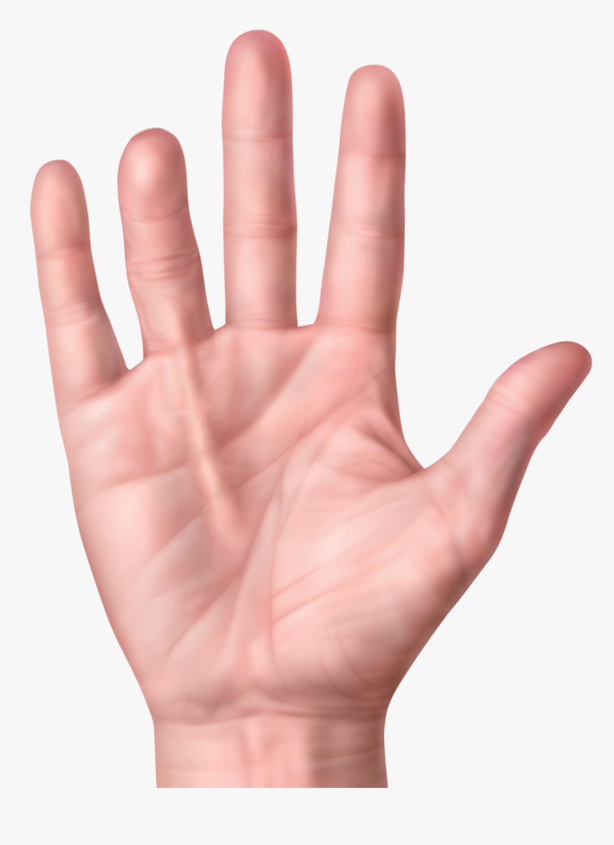 Mild Contracture - John Elway Dupuytren's Contracture, HD Png Download