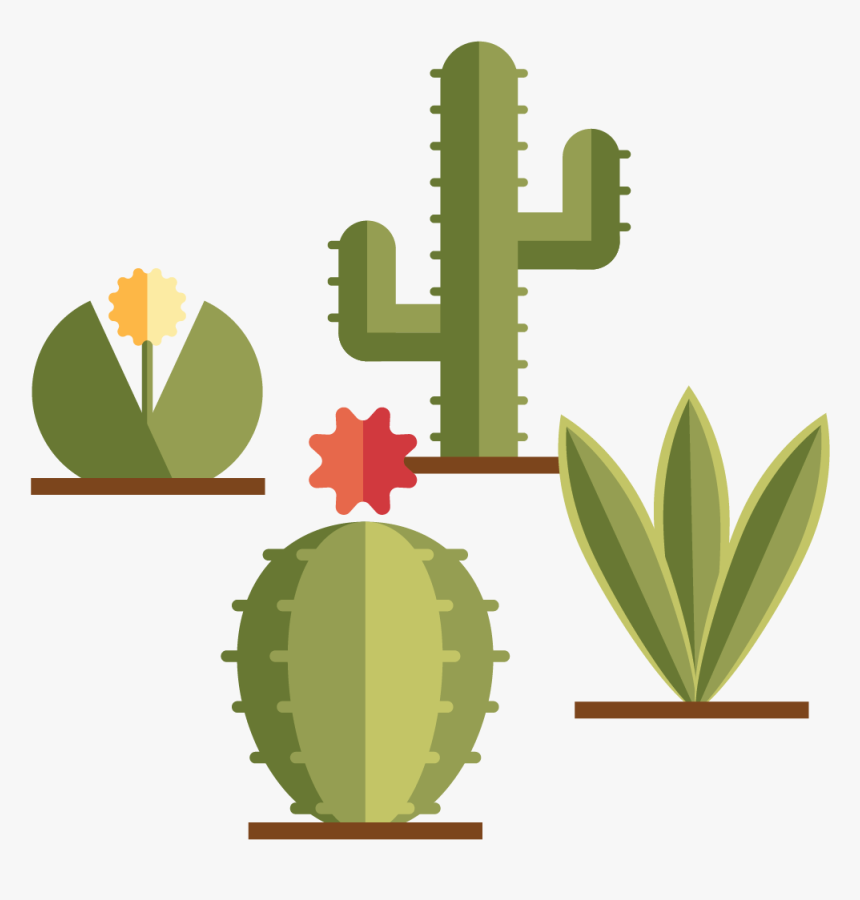 Become Part Of A Community Of Practitioners - Hedgehog Cactus, HD Png Download