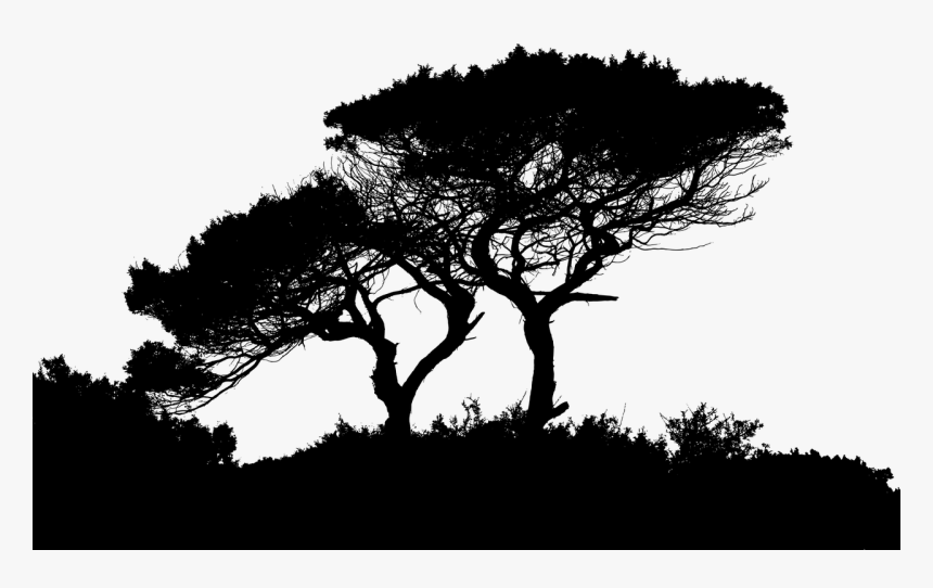 Silhouette Of A Landscape, HD Png Download