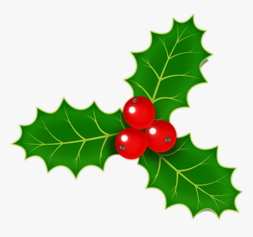 Image Of Christmas Holly - Holly With No Background, HD Png Download