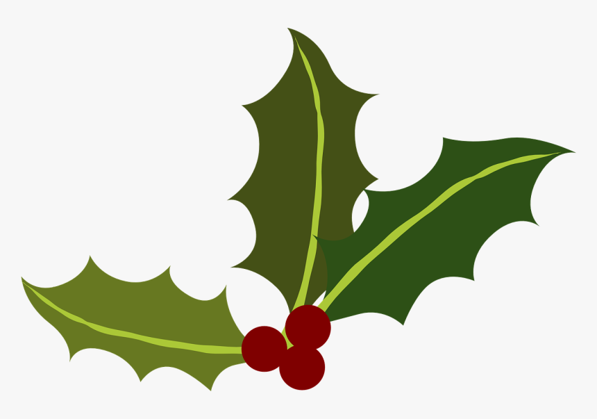 Holly Leaf Png, Transparent Png