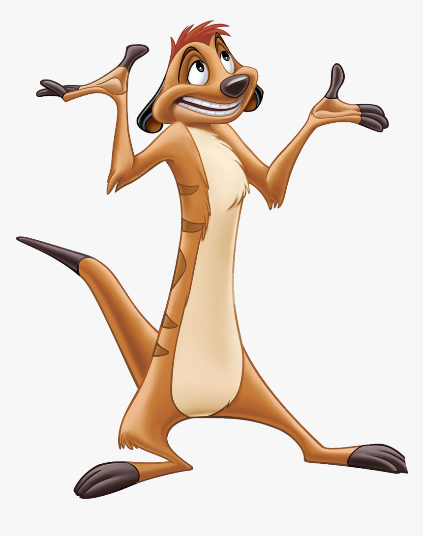 Dibujo Timon - Timon From Lion King, HD Png Download