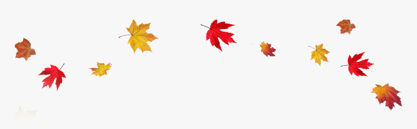 Autumn Leaf Color Clip Art - Autumn Leaves Transparent Background, HD Png Download