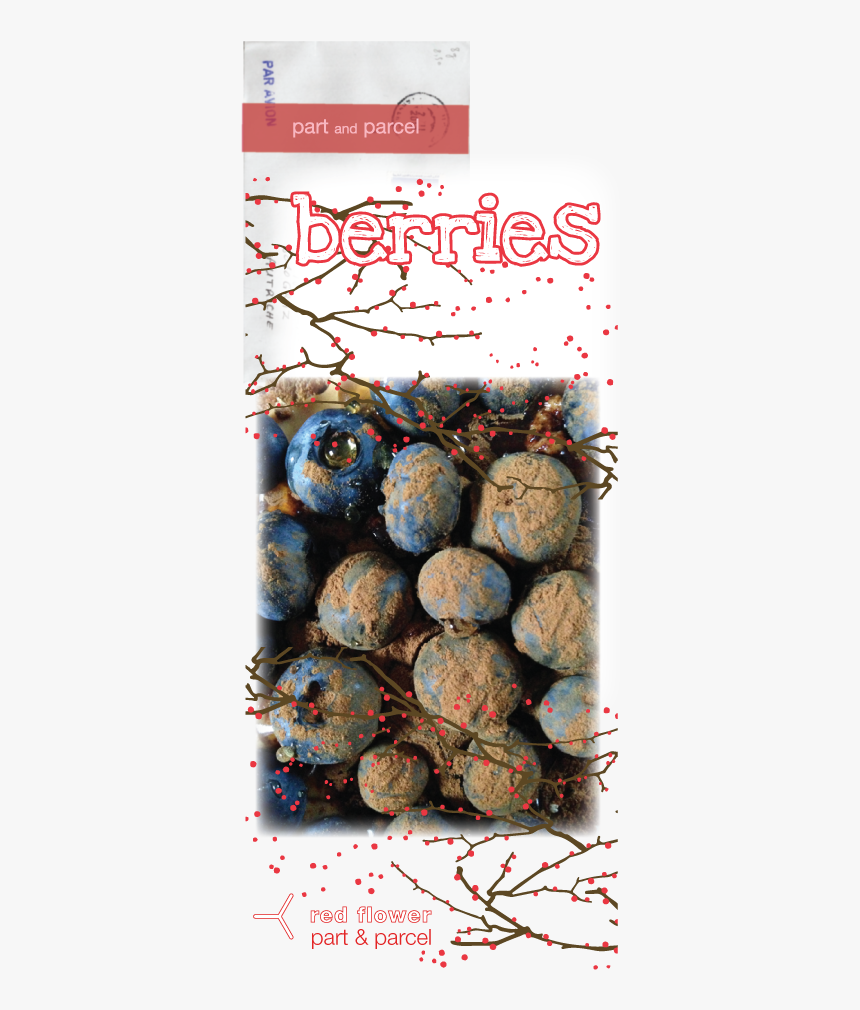 Berries - Christmas - Christmas, HD Png Download
