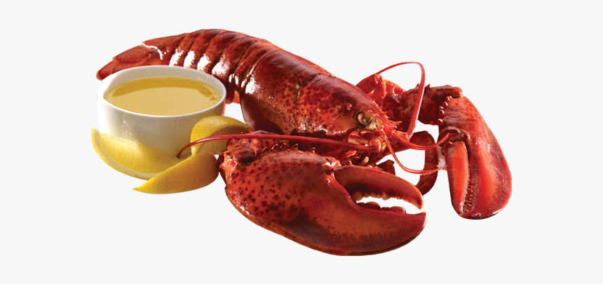 Cooked Lobster Png, Transparent Png