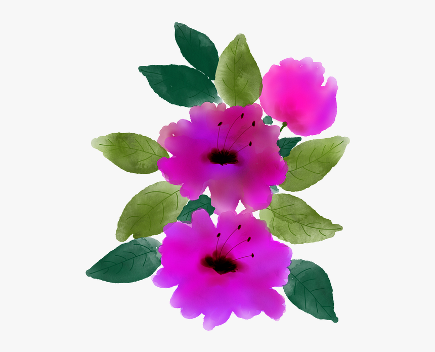 Rosa Rubiginosa, HD Png Download