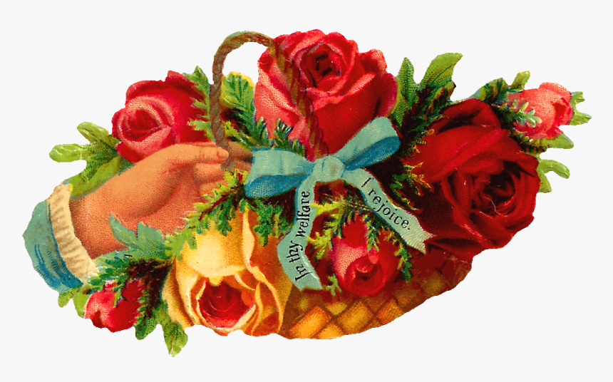 Floribunda, HD Png Download