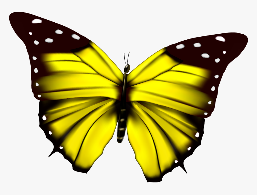 Ppt 用 蝴蝶 飛舞 動態, HD Png Download