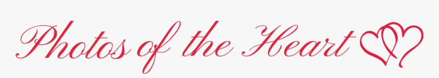 Calligraphy, HD Png Download