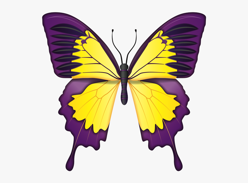 Blue Butterfly Images Natural, HD Png Download