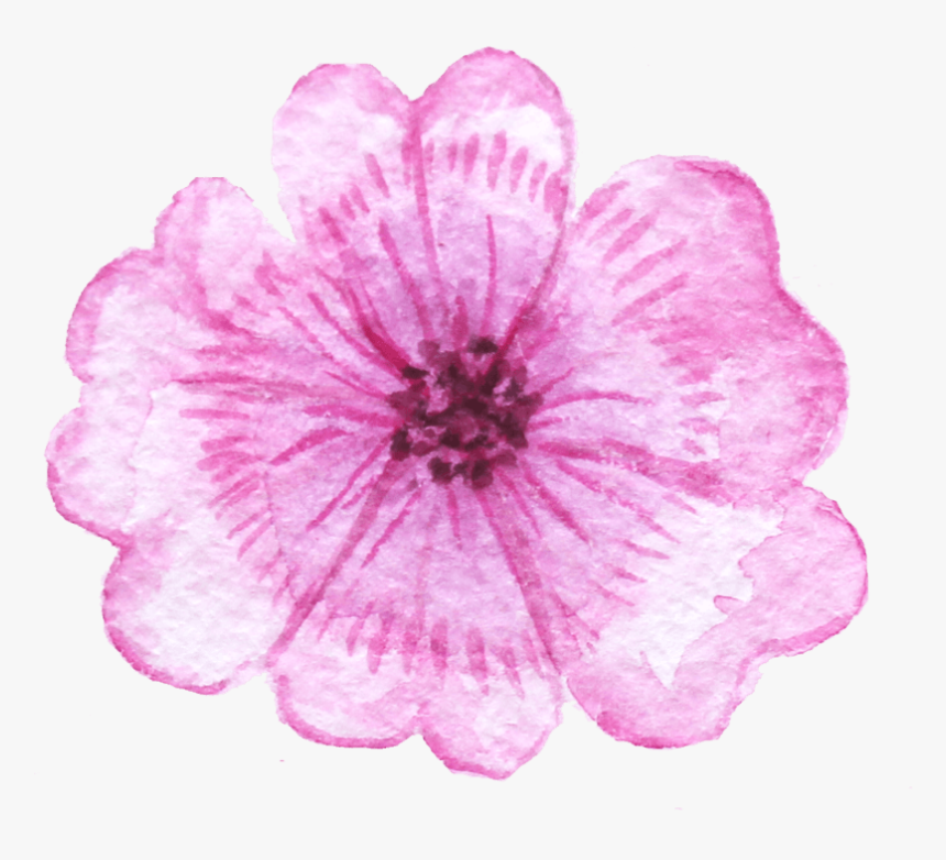 中国风荷花水彩画 - Petunia, HD Png Download