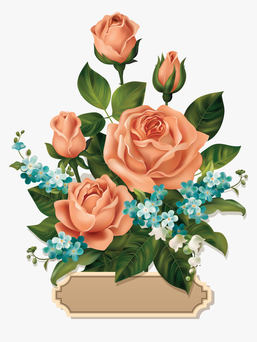 Rose Clip Art Flowers, HD Png Download