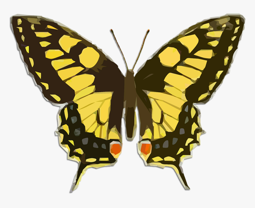 Swallowtail Butterfly Transparent Background, HD Png Download