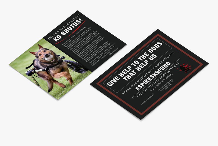 Flyer, HD Png Download
