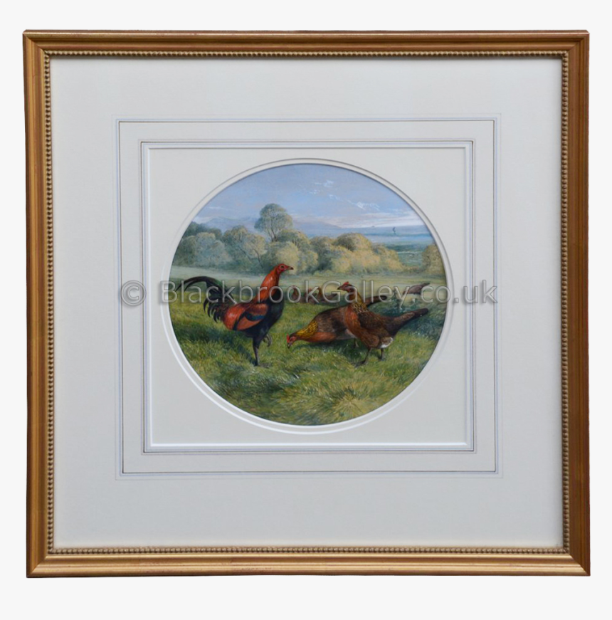 Picture Frame, HD Png Download