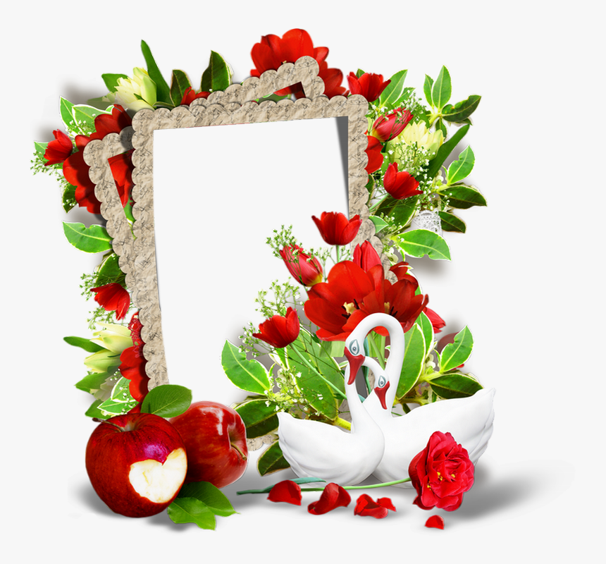 Cadre St Valentin Png - Real Flower Image Downloading, Transparent Png