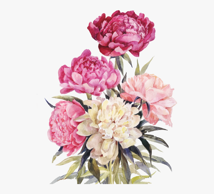 Bouquet Vector Watercolor - Watercolor Peony Drawing, HD Png Download